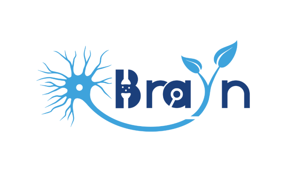 BraYn logo 900x600 tris